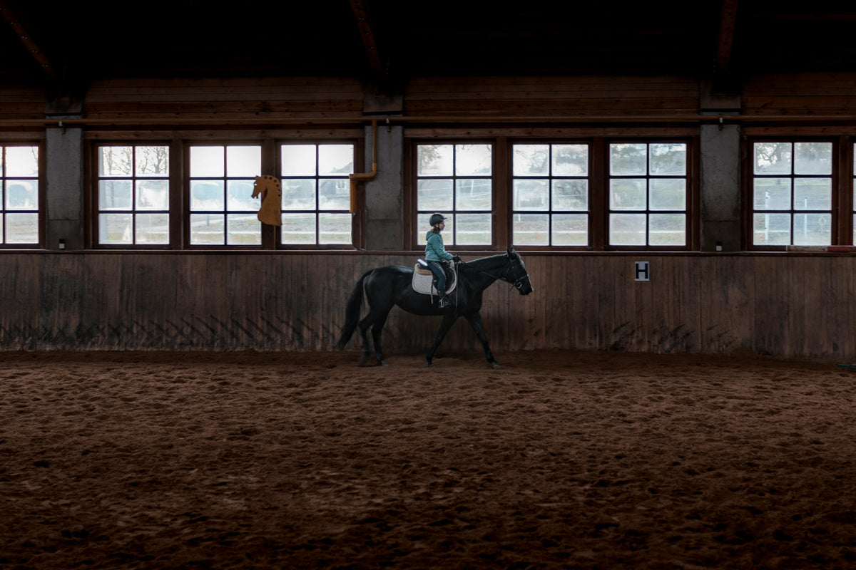 Rider walking a black horse around an indoor riding arena